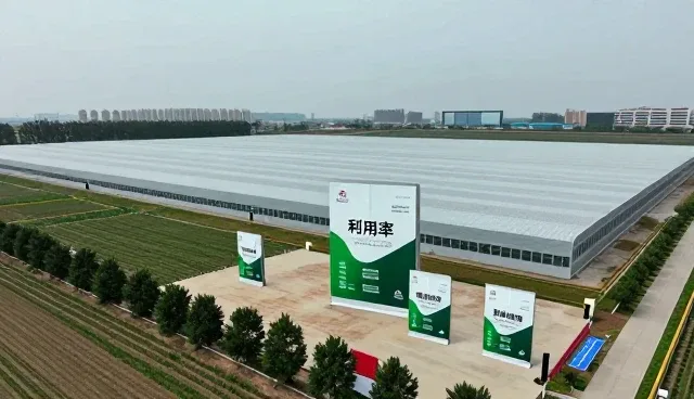 种植过程中的常见问题及应对策略